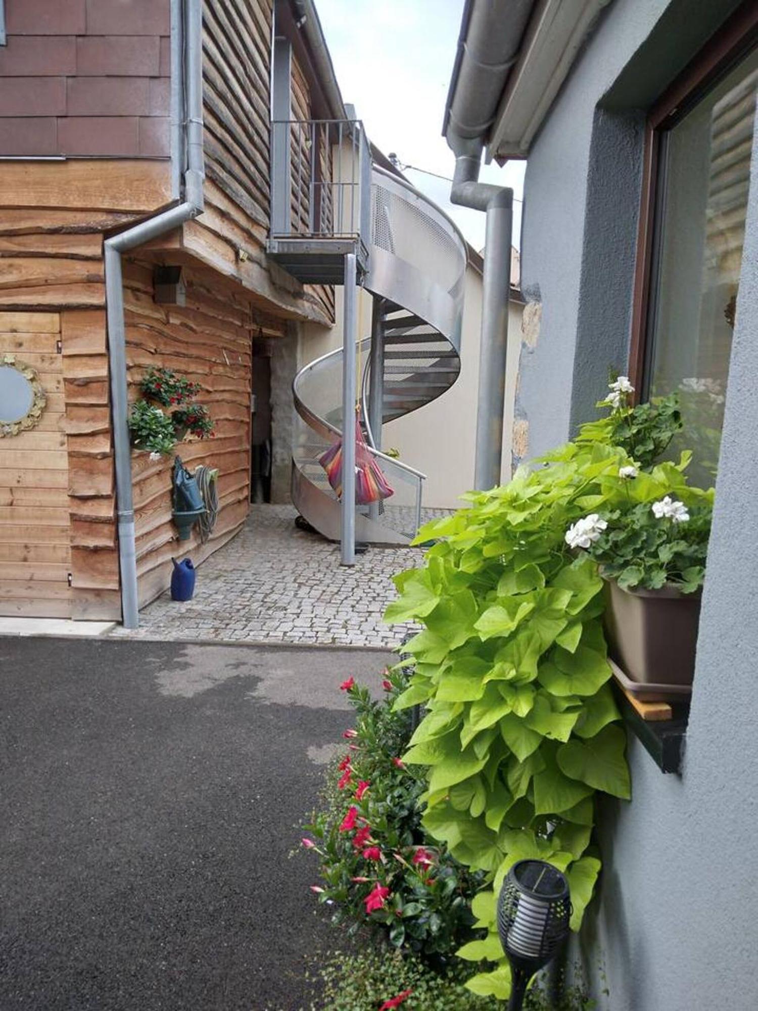 Appartement Cosy Wintzenheim + Terrasse Exterior photo